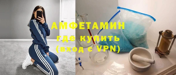 PSILOCYBIN Богданович