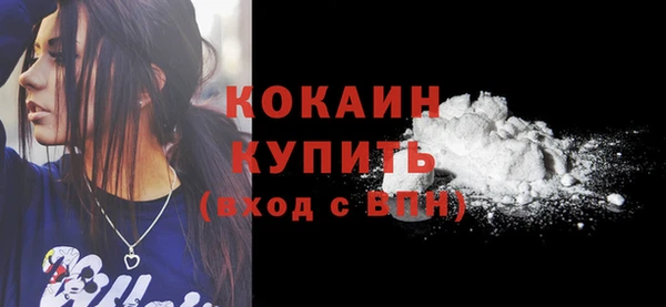 PSILOCYBIN Богданович